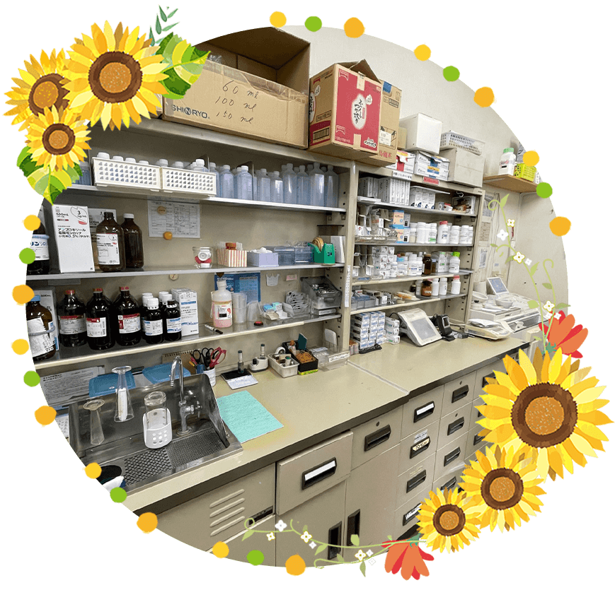 ひまわり薬局松伏店,埼玉県,北葛飾郡,松伏町,調剤薬局